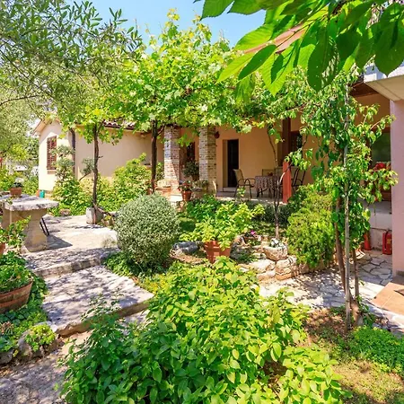 Lavanda روفينج